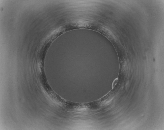 X0000066970643200603271209