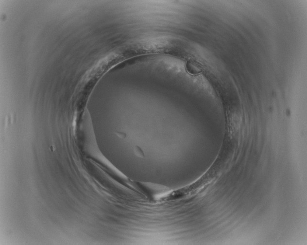 X0000066970644200603271209