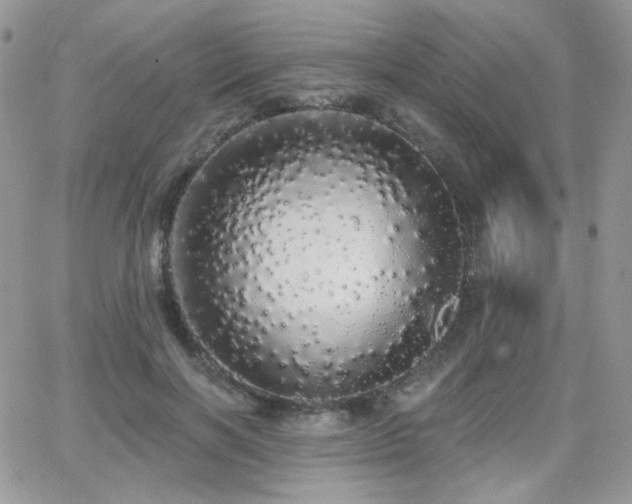 X0000066970646200603271209