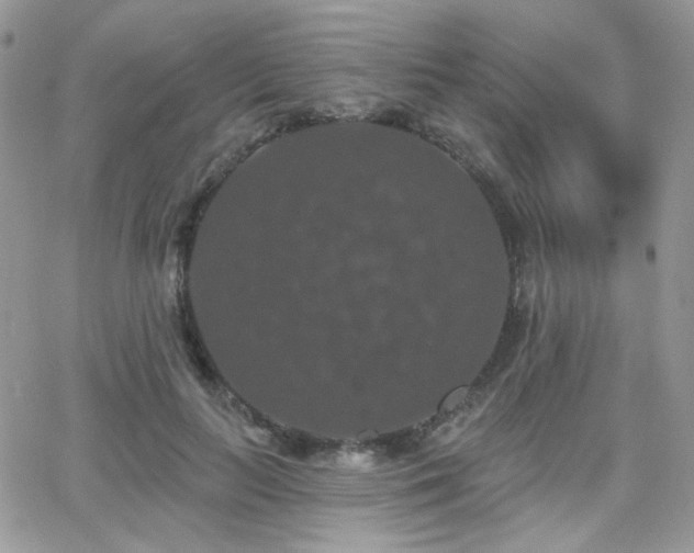 X0000066970647200603271209