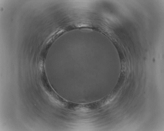 X0000066970648200603271209