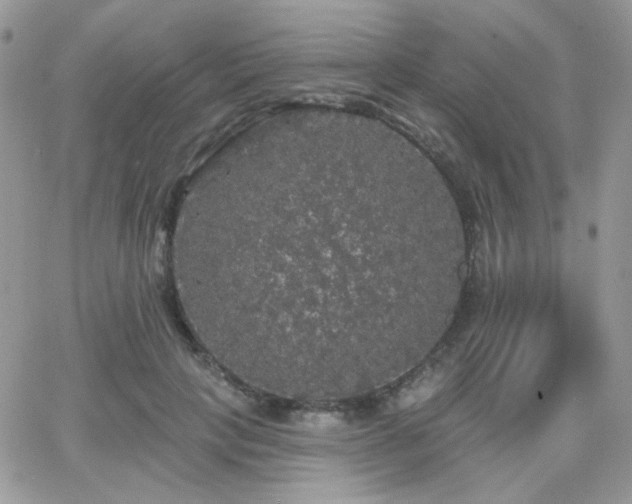 X0000066970649200603271209