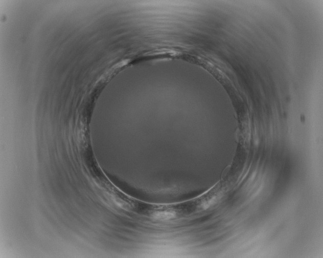 X0000066970653200603271209