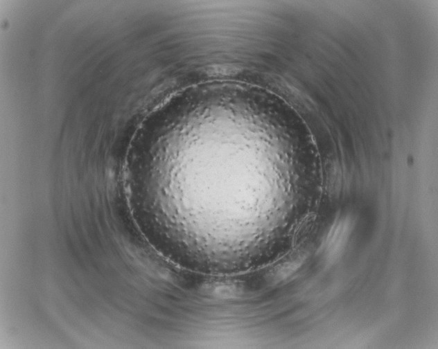 X0000066970655200603271209