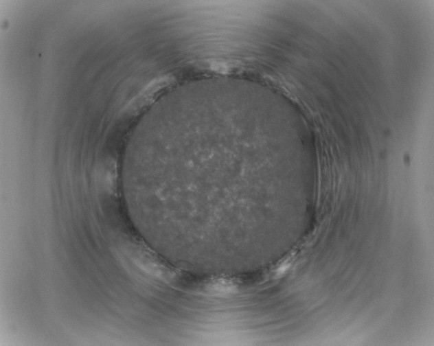 X0000066970656200603271209