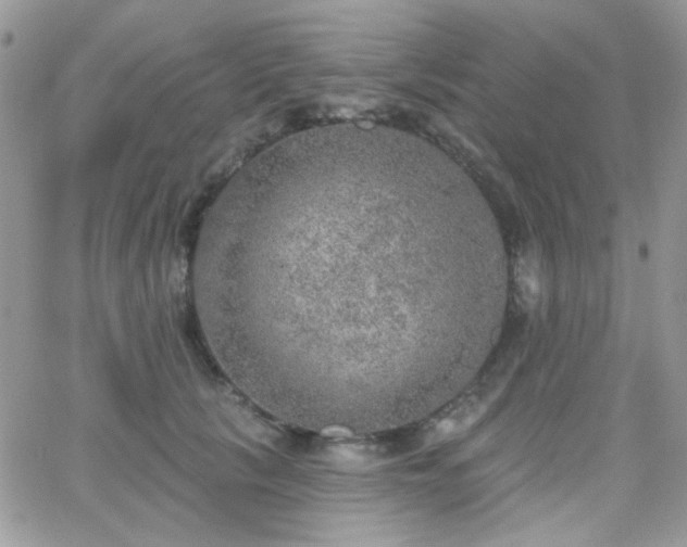 X0000066970657200603271209