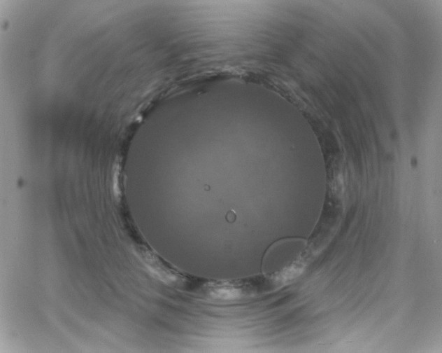 X0000066970658200603271209