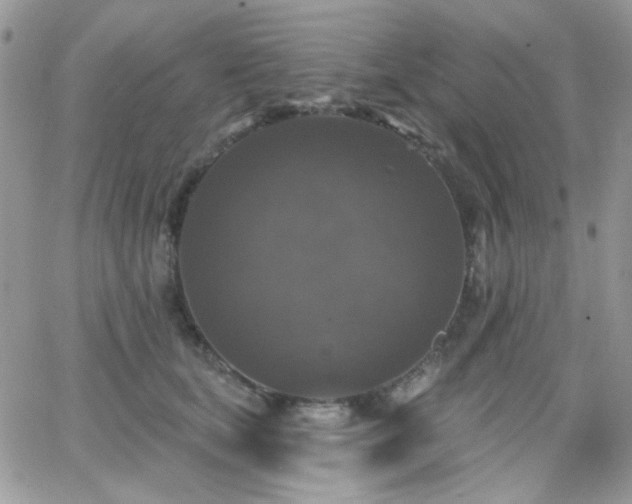 X0000066970659200603271209