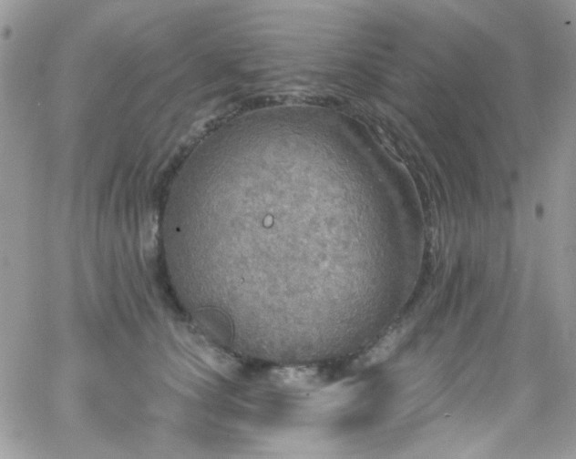 X0000066970660200603271209