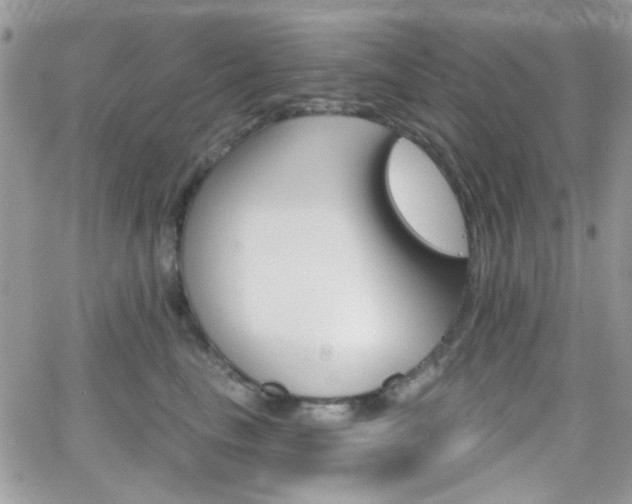 X0000066970665200603271209