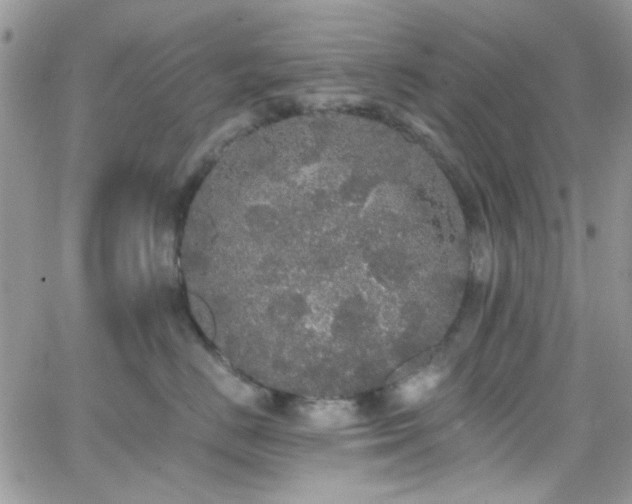 X0000066970670200603271209