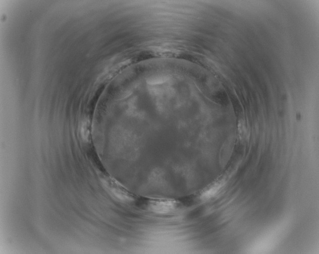 X0000066970671200603271209