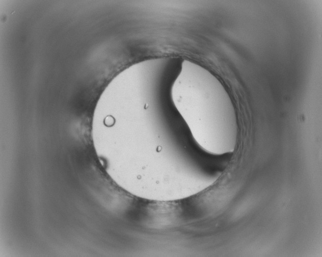 X0000066970672200603271209