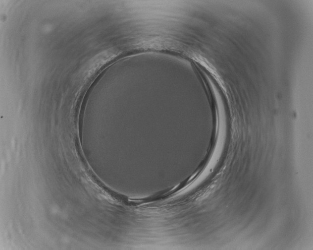 X0000066970673200603271209