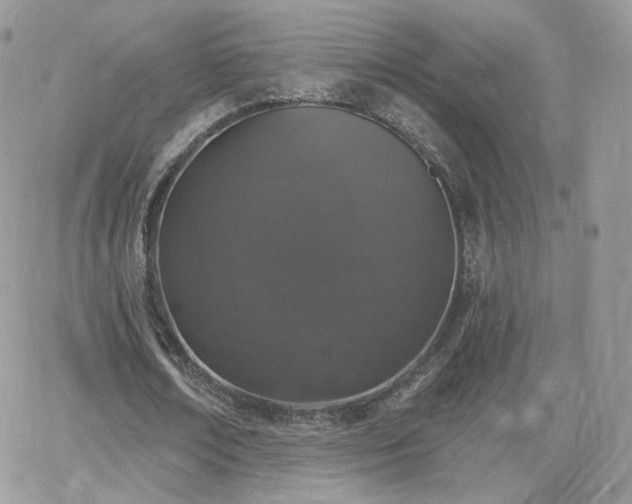 X0000066970674200603271209