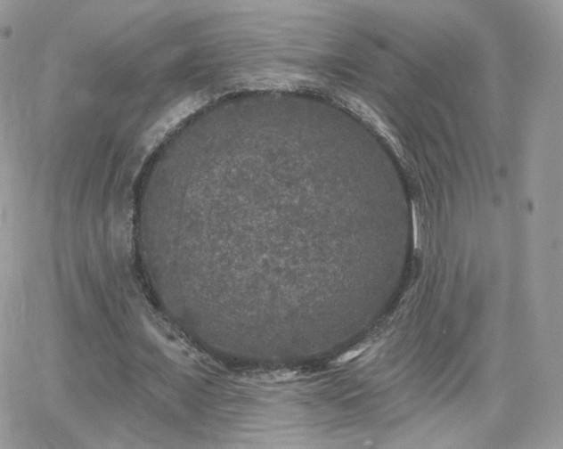 X0000066970675200603271209