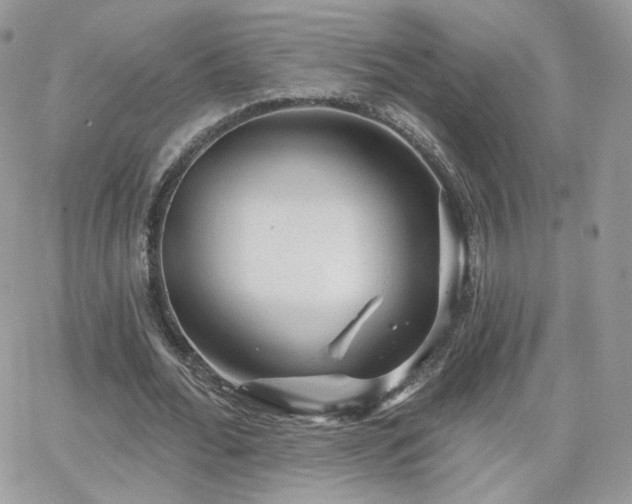 X0000066970676200603271209