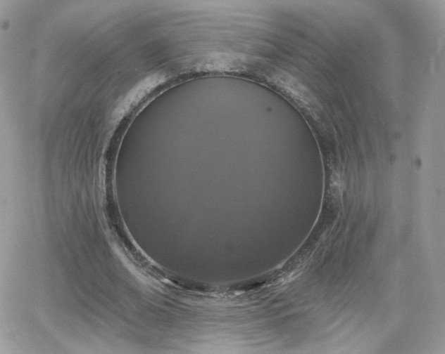 X0000066970678200603271209