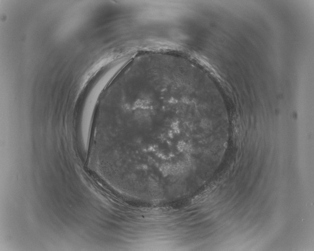 X0000066970679200603271209