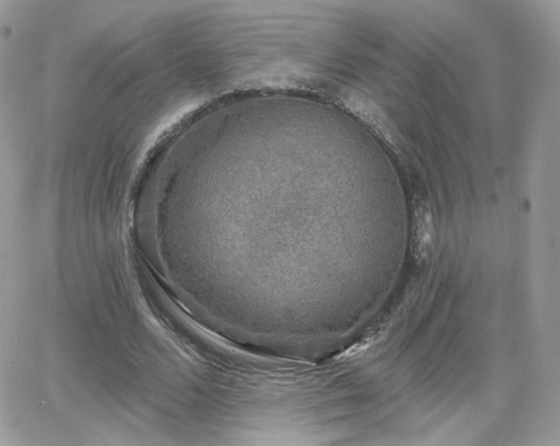 X0000066970680200603271209