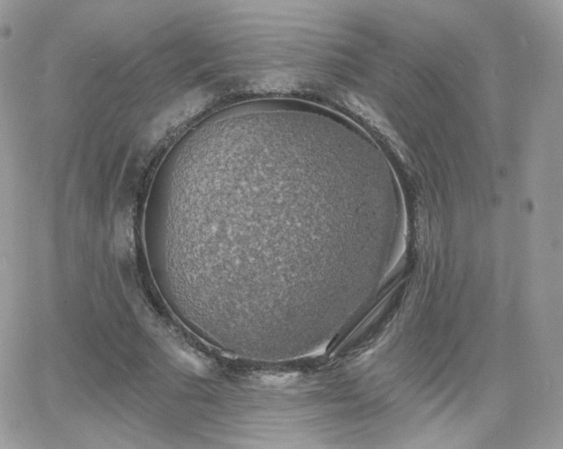 X0000066970681200603271209