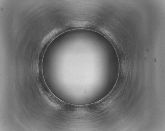 X0000066970682200603271209