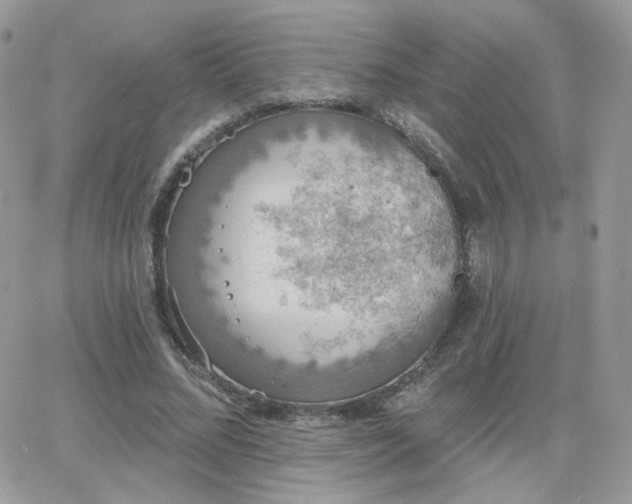 X0000066970684200603271209