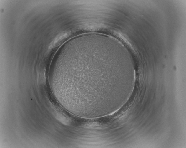 X0000066970685200603271209