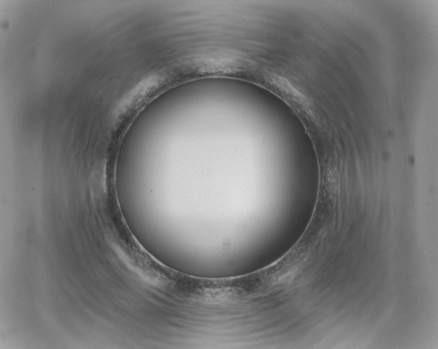 X0000066970686200603271208