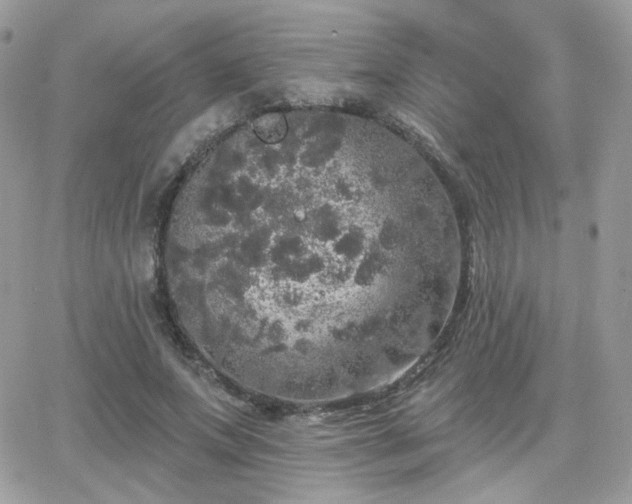 X0000066970687200603271208