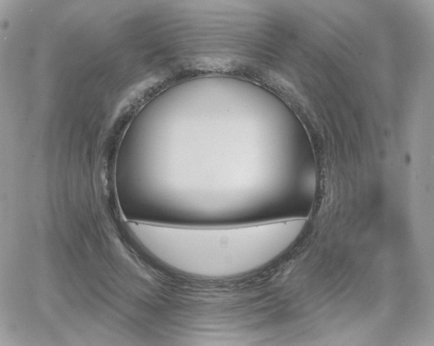 X0000066970688200603271208