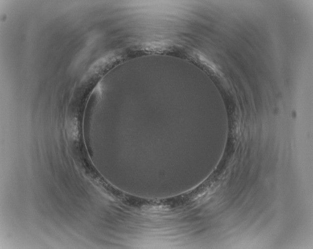 X0000066970689200603271208