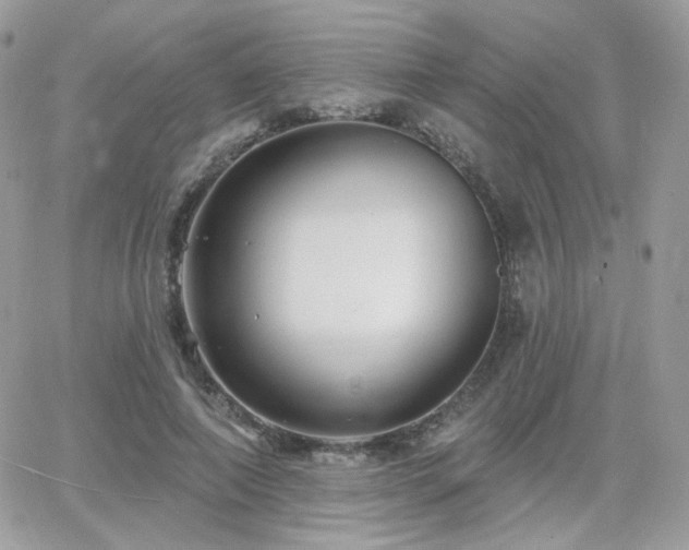 X0000066970690200603271208