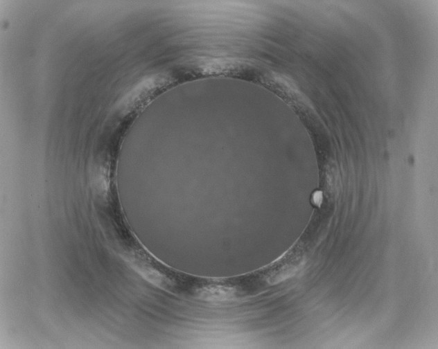 X0000066970691200603271208