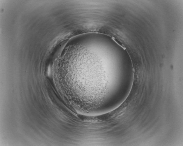 X0000066970693200603271208