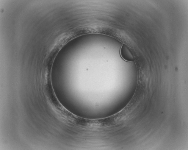 X0000066970694200603271208