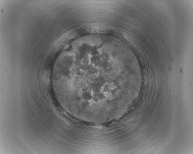 X0000066970695200603271208