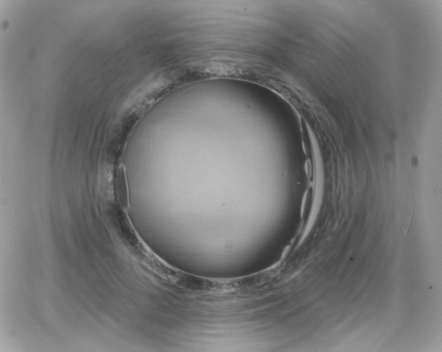 X0000066970696200603271208