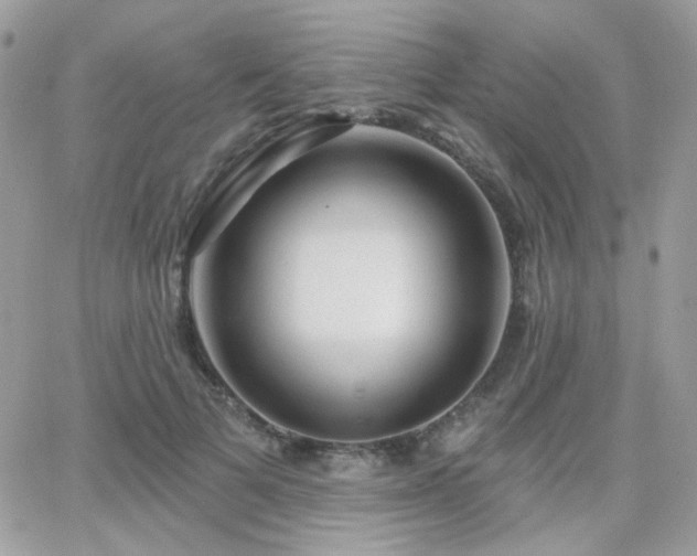 X0000066970697200603271208