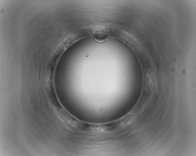 X0000066970698200603271208