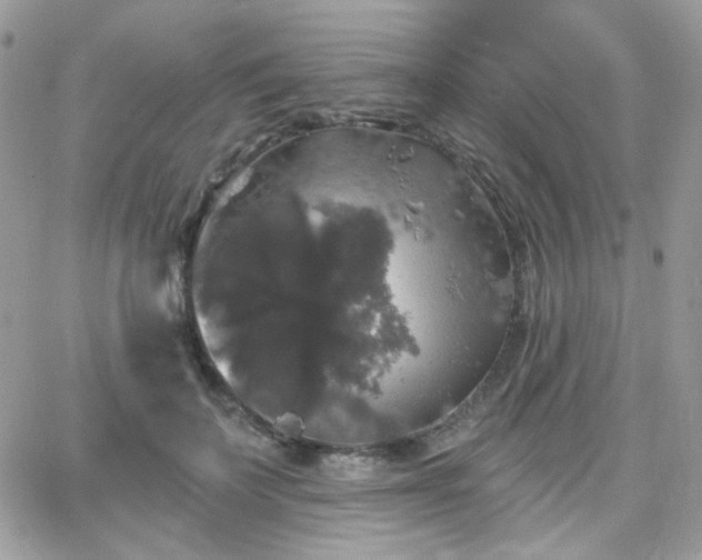 X0000066970699200603271208