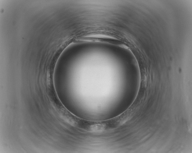 X0000066970700200603271208