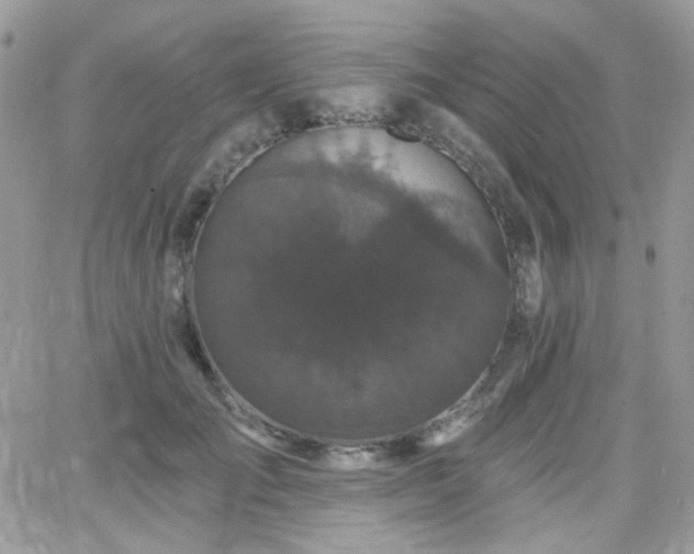 X0000066970701200603271208