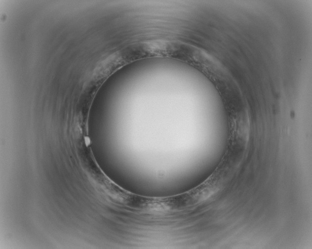 X0000066970702200603271208