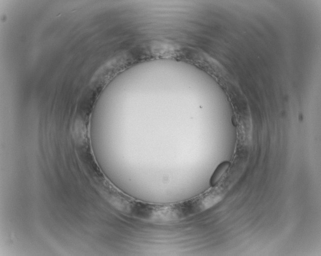 X0000066970705200603271208