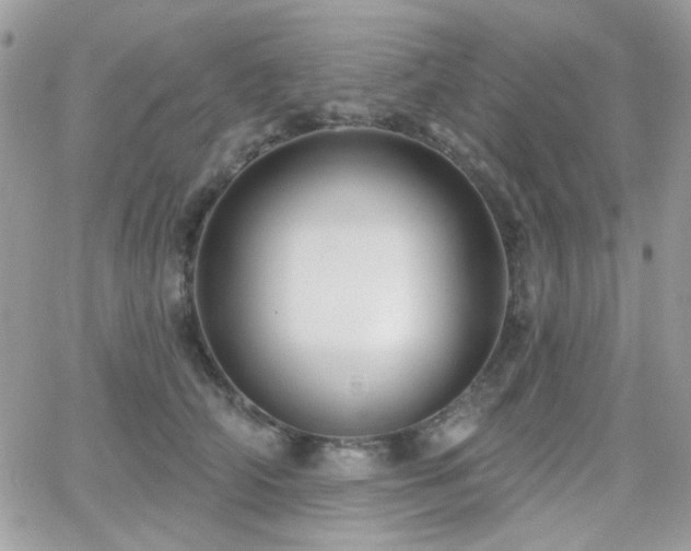 X0000066970706200603271208