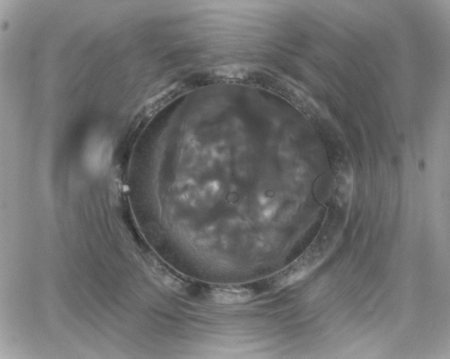 X0000066970707200603271208