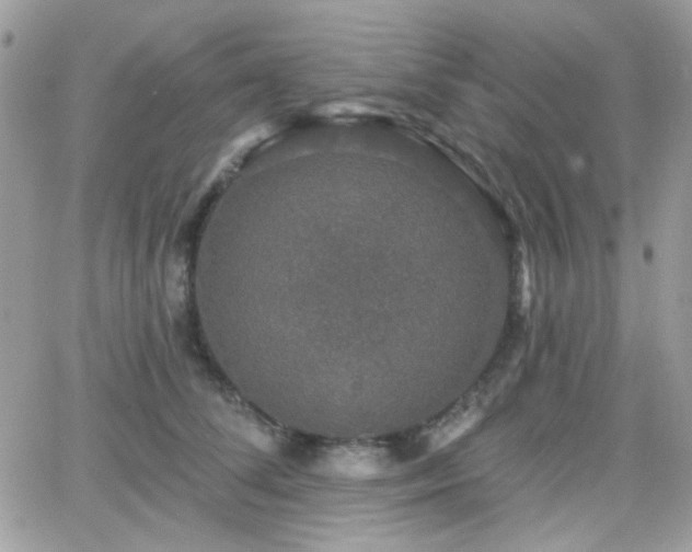 X0000066970708200603271208