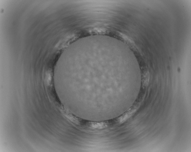 X0000066970709200603271208