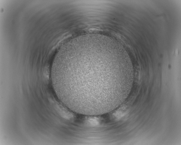 X0000066970710200603271208